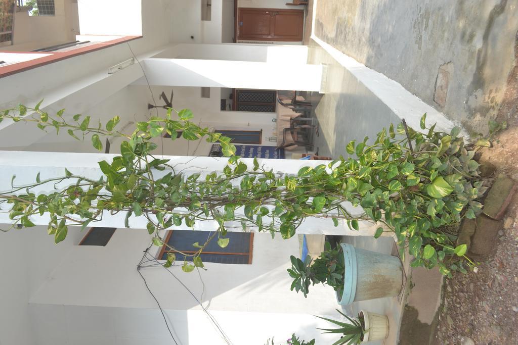 Mount Valley Mama Cottage Rishīkesh Εξωτερικό φωτογραφία